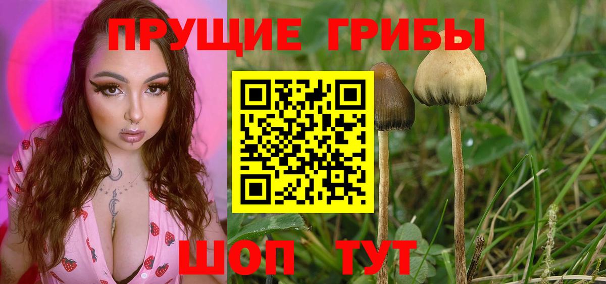 магазин продажи   Псилоцибиновые грибы Psilocybe  Галлюциногенные грибы GOLDEN TEACHER  Вход с VPN  Ноябрьск 