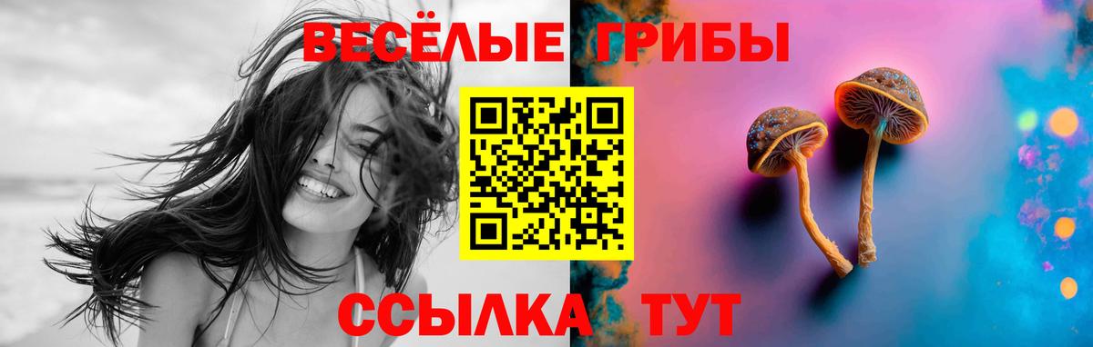 Галлюциногенные грибы GOLDEN TEACHER Ноябрьск